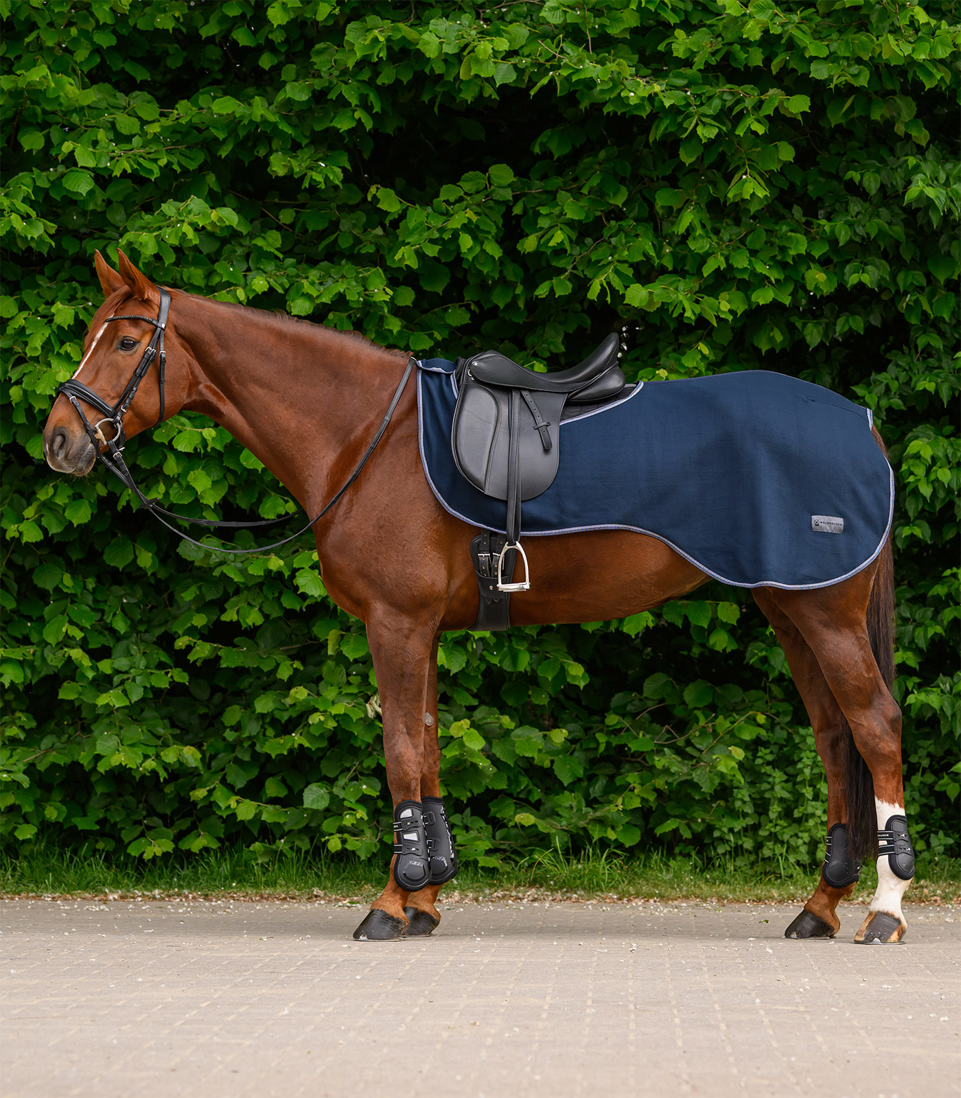 Waldhausen Fleece-Ausreitdecke Economic