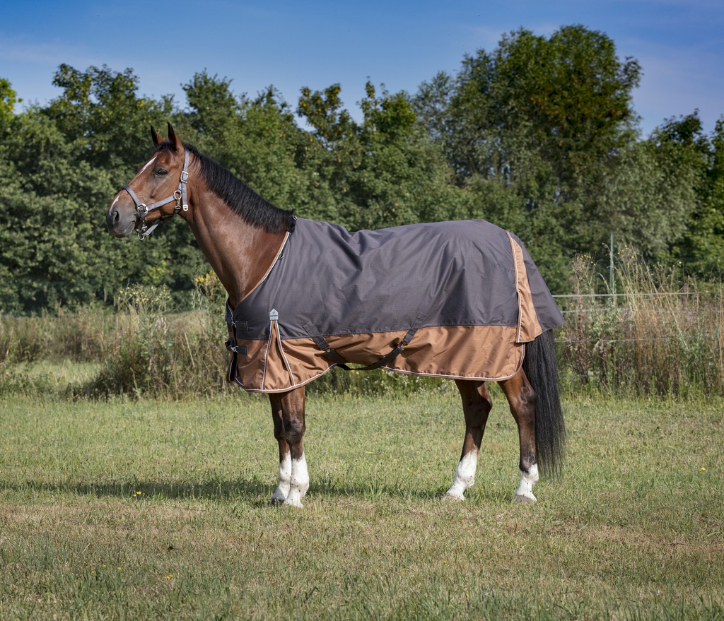 EQUITHÈME TYREX 600D "Aisance" Decke, 300g Füllung, Pferdedecke, grau/braun, Weidedecke