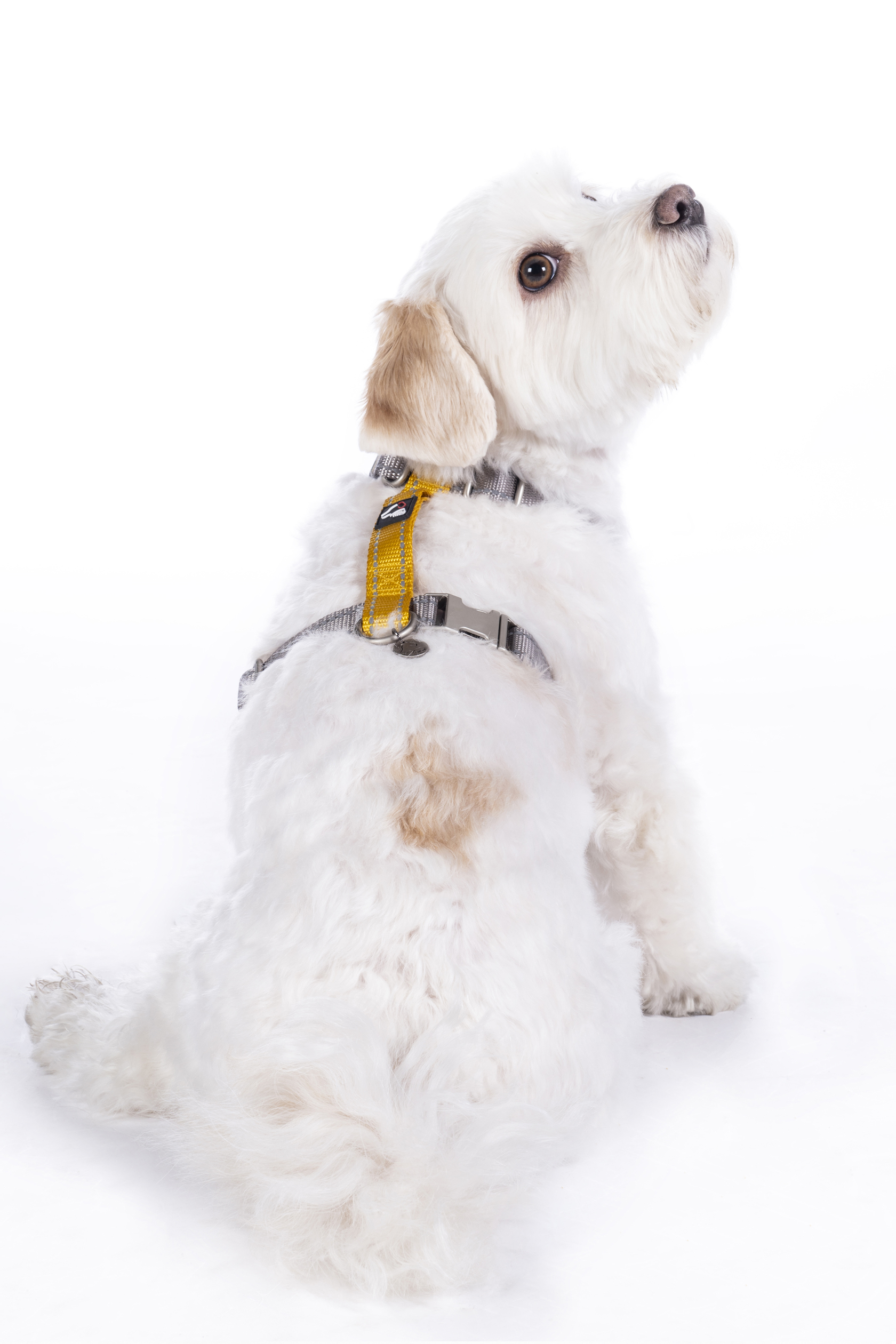 HKM Hundegeschirr "Anam Cara Basic", Nylon