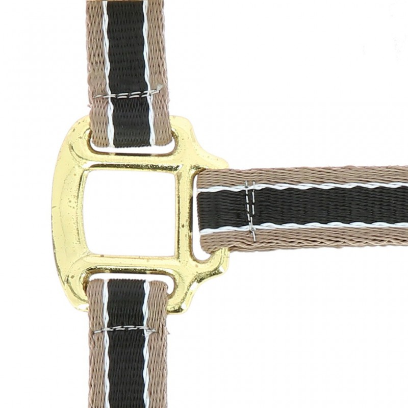 EQUITHÈME "Polyfun" Halfter