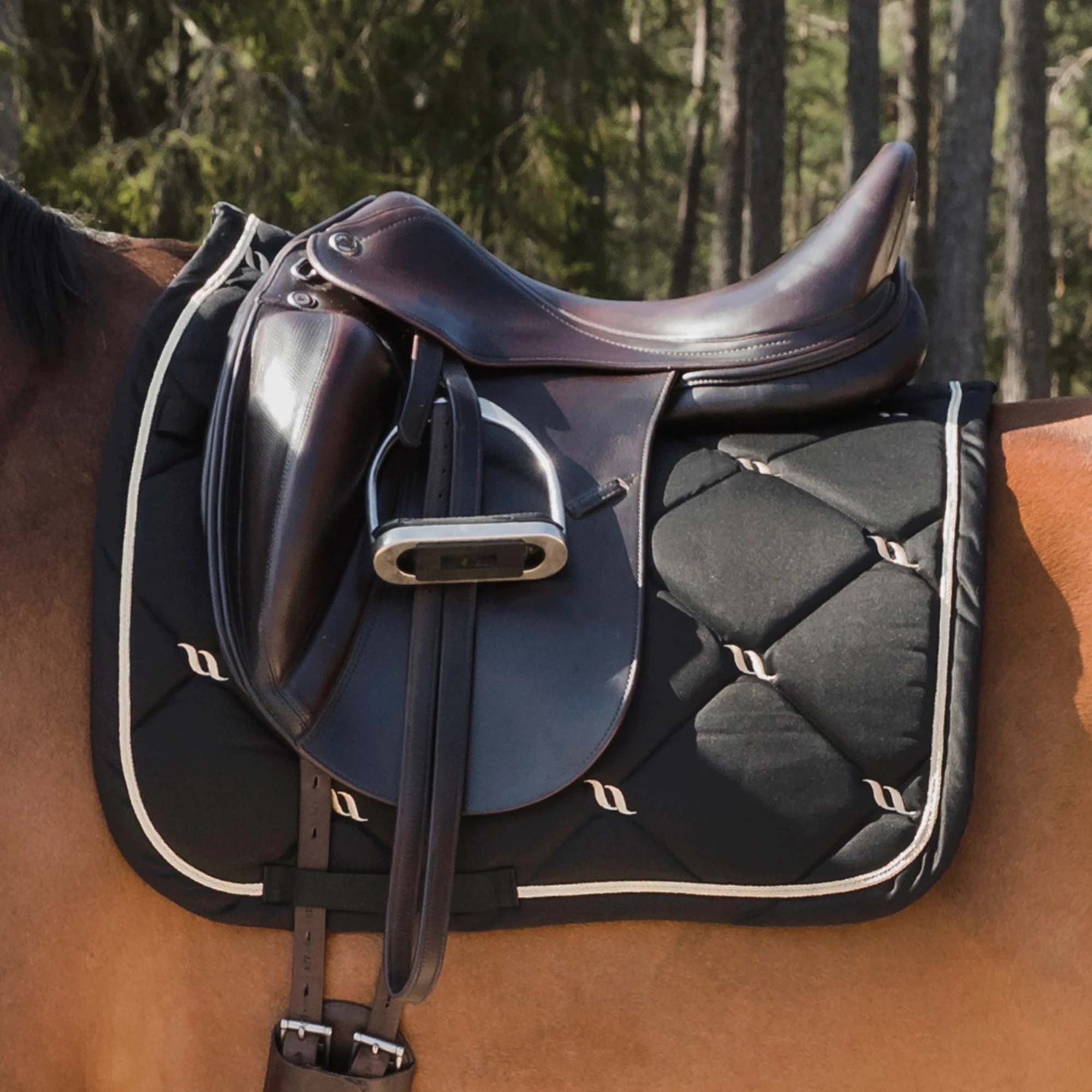 Back on Track Nights Collection Schabracke Dressur, Full, schwarz