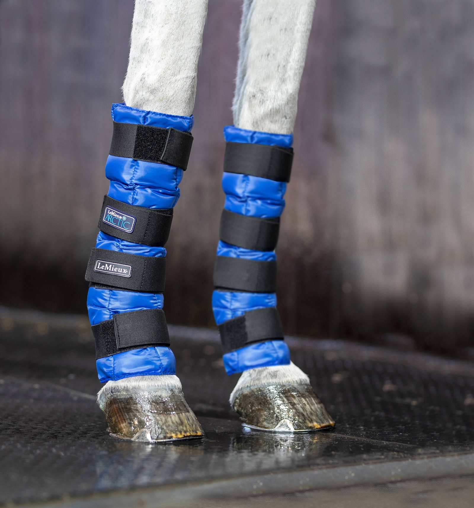 LeMieux Arctic Ice Boot, Kühlgamaschen, Einheitsgröße