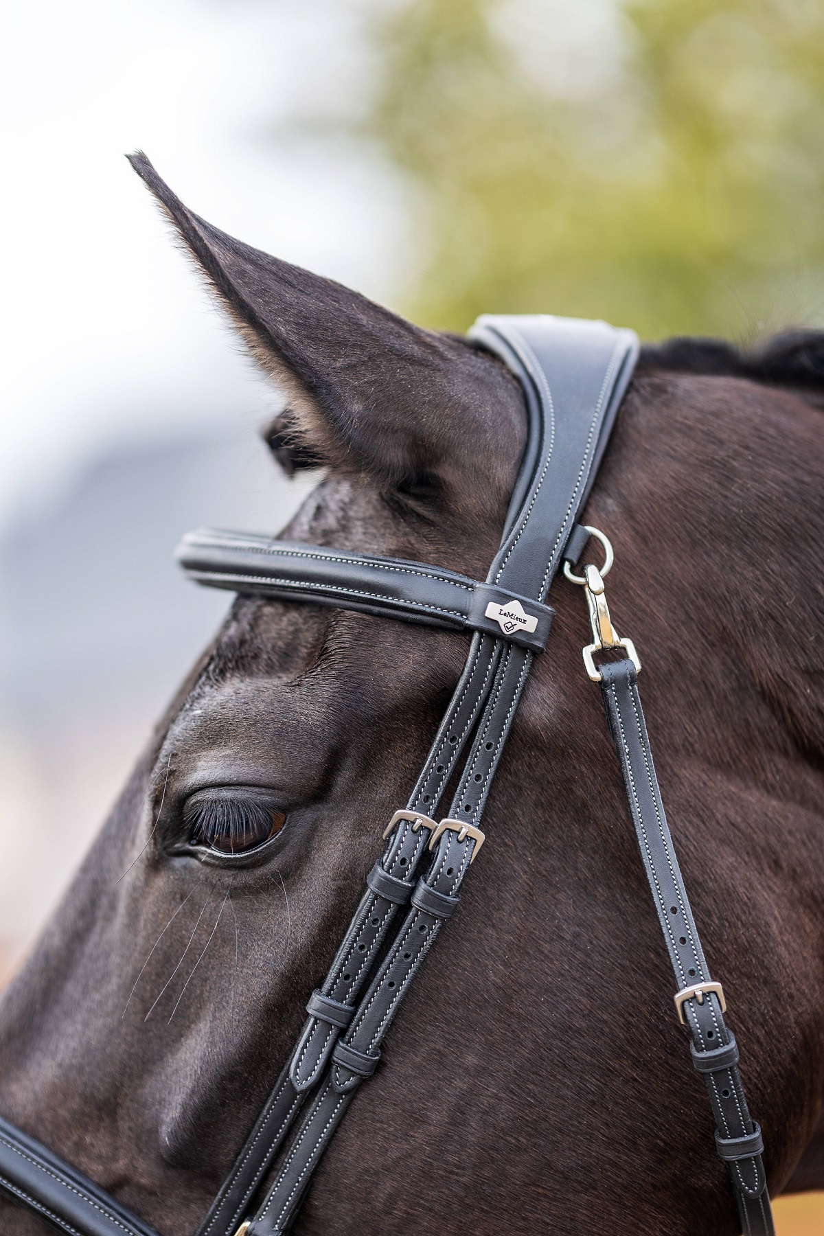 LeMieux Work Bridle, Arbeitstrense, Trense