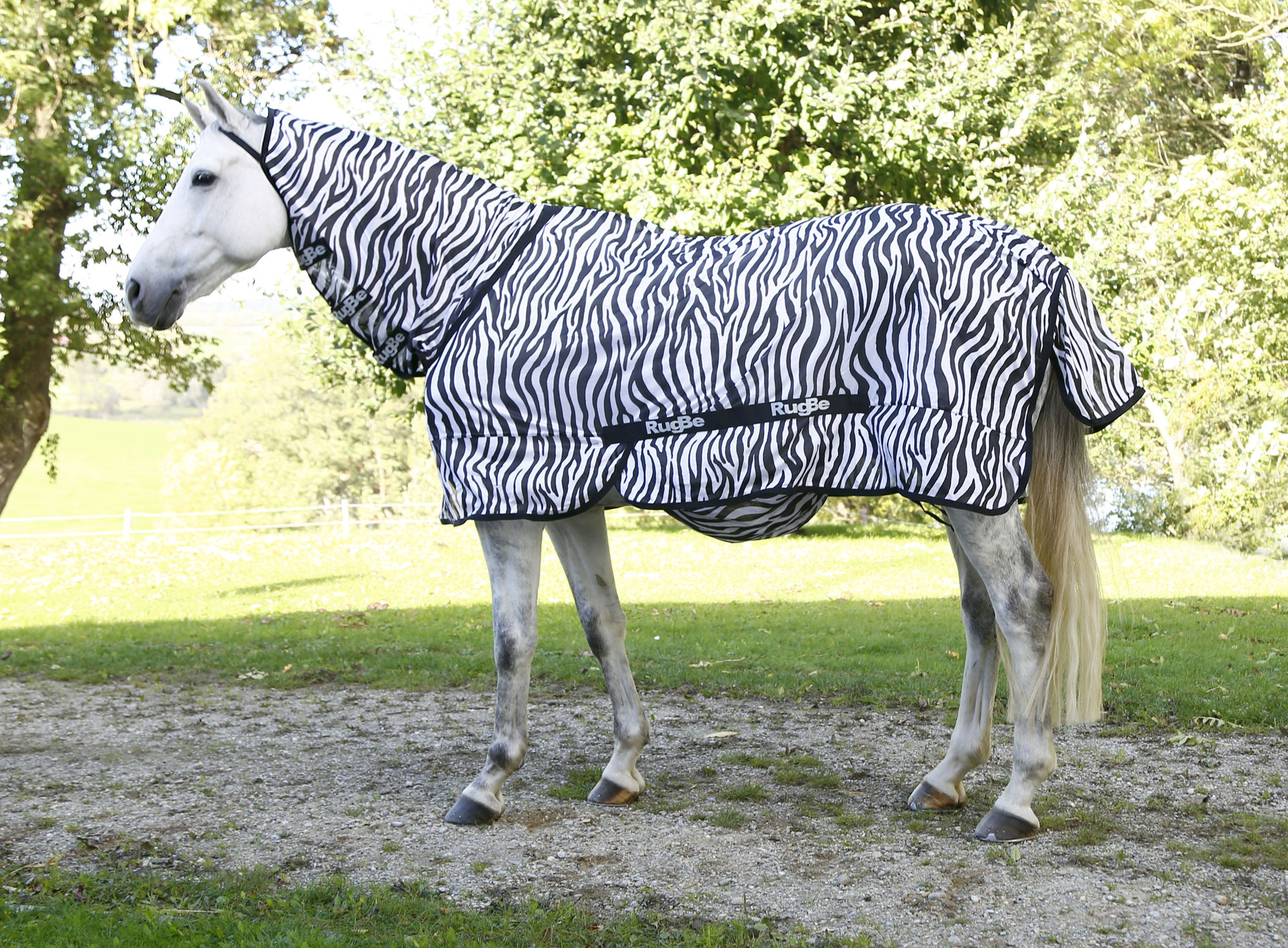 Covalliero Fliegendecke Zebra, weiß/schwarz, inkl. Halsteil