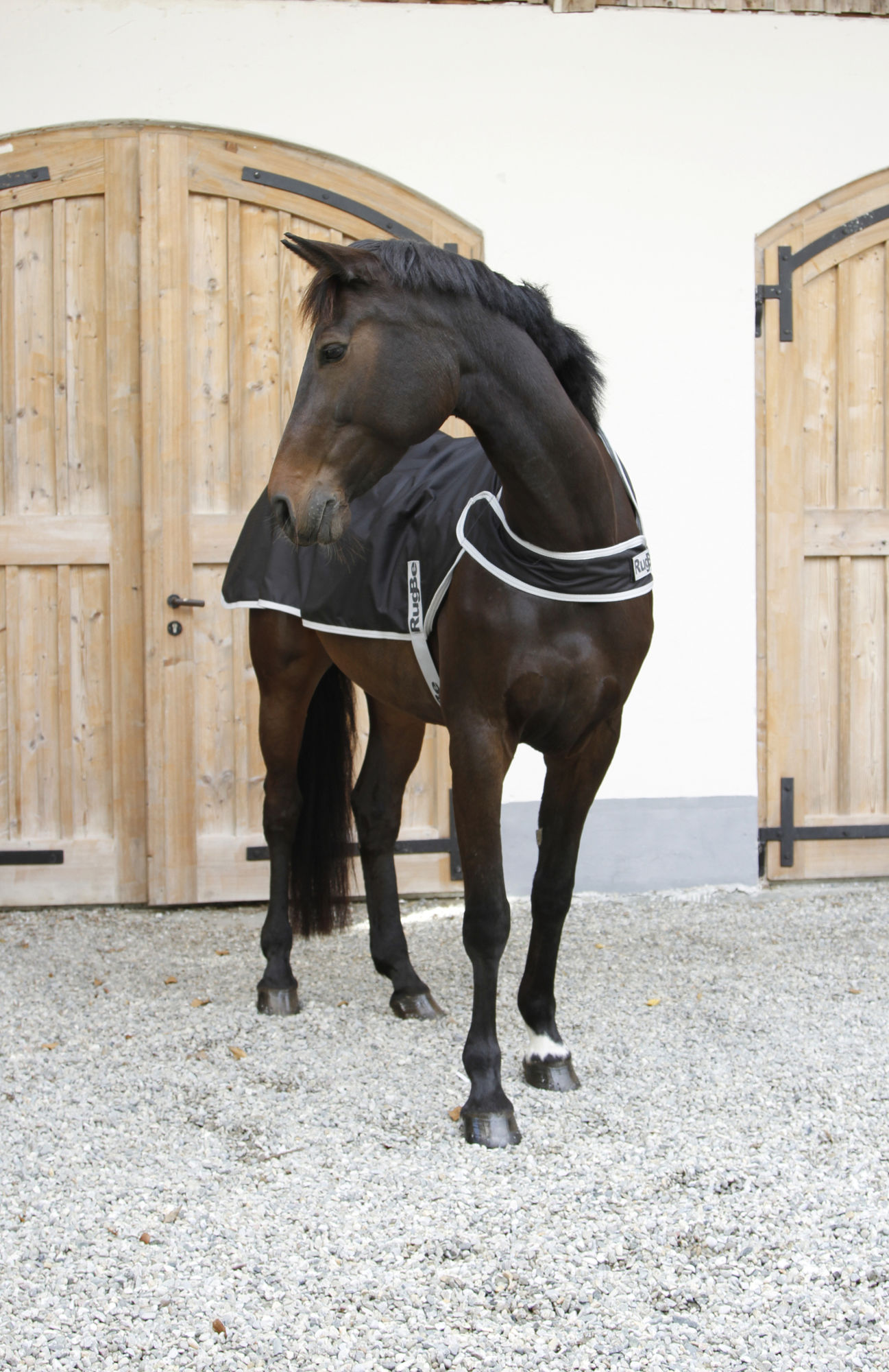 Covalliero Führanlagendecke RugBe schwarz