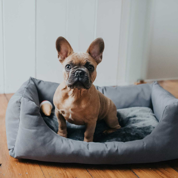 Hunter Hundesofa Ravina