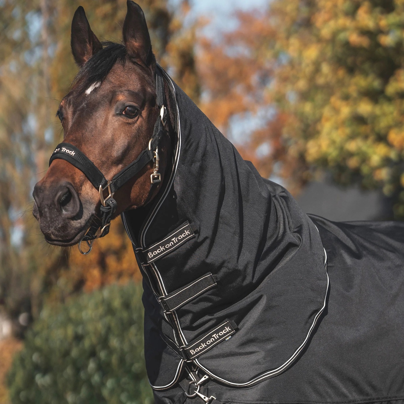 Back on Track Obsidian Turnout Decke, schwarz