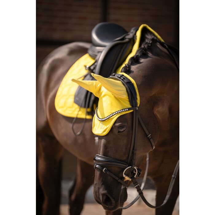 Fliegenhaube "Limone Test