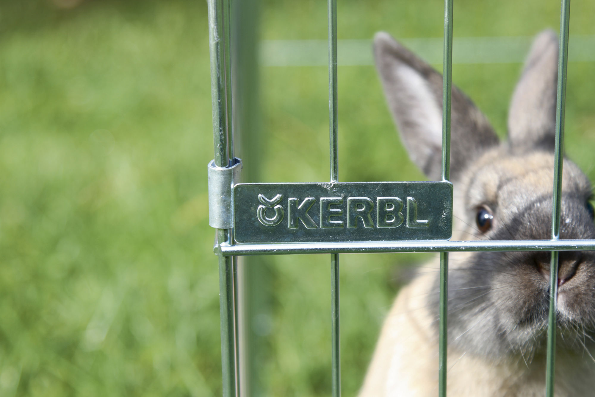 Kerbl Freilaufgehege "Easy", 115 x 115 x 60 cm, Metall