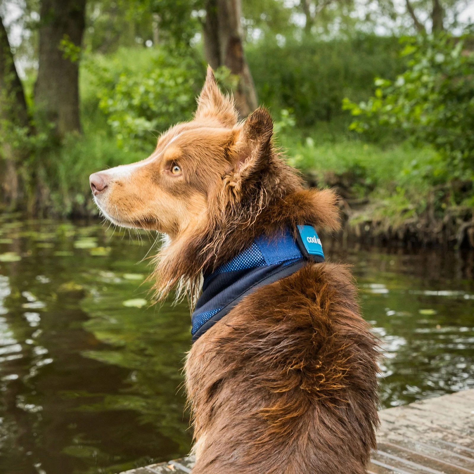 Cool on Track Cooling Bandana, blau