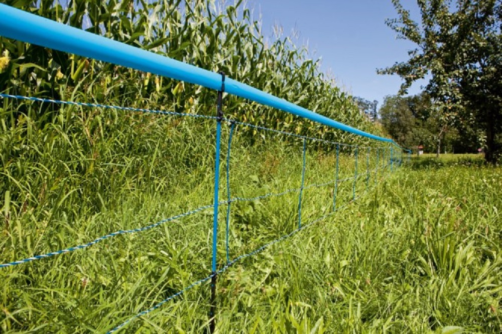 WildNet Signalband, blau, 250 m
