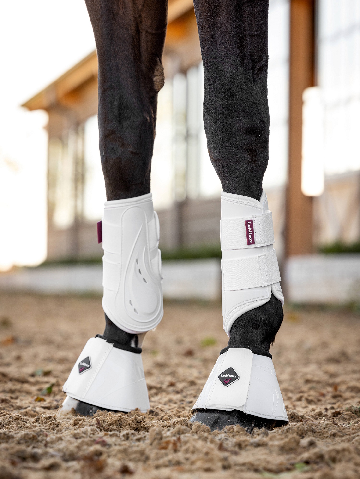 LeMieux ProShell Brushing Boots, Gamaschen, Arbeitsgamaschen, Dressurgamaschen