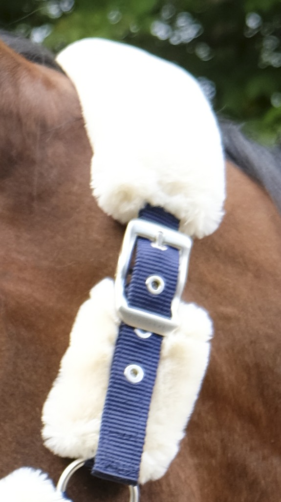 EQUITHÈME "Teddy" Halfter, mit synthetischem Lammfell